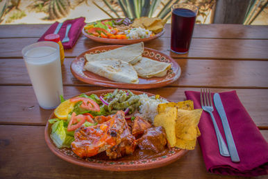 Outdoor patio lunch featuring Mexican-style plates: sauced chicken with rice, salad and tortilla chips, folded quesadillas on a second plate, glasses of milk and dark juice on a wooden table with cactus plants in the background.
