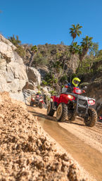 Red ATVs navigating a sandy off-road canyon trail with palm trees and rocky cliffs under a bright blue sky, rider wearing a neon yellow helmet