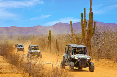 Three off-road UTVs kicking up dust on a cactus-lined desert trail with dry brush and distant mountains, adventurous outdoor tour vibe.