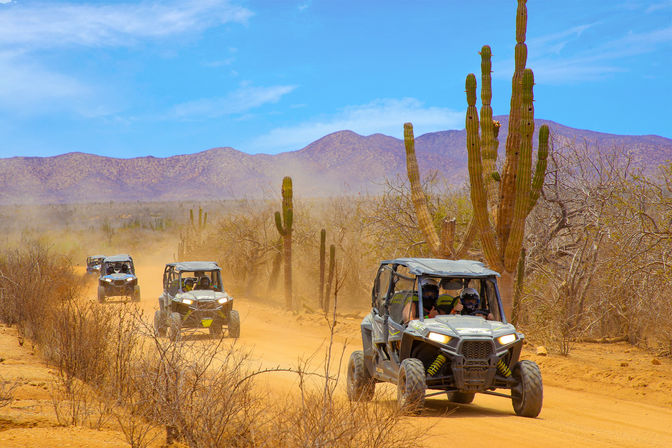Three off-road UTVs kicking up dust on a sandy desert trail flanked by tall columnar cacti and dry scrub, with distant purple mountains under a bright blue sky.
