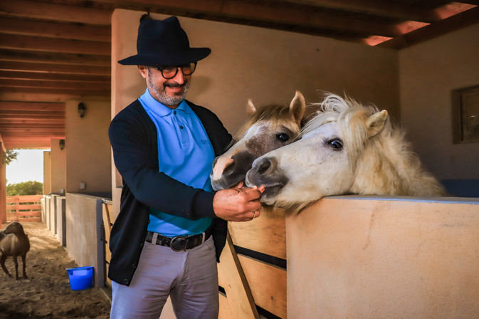 Person in a black hat and blue polo feeding two light-colored ponies over a stable stall inside a sunlit barn, with another horse and a blue bucket in the aisle.