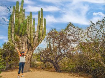 Woman with arms raised beside a towering columnar cactus in arid desert scrub under a bright blue sky, outdoor travel scene.