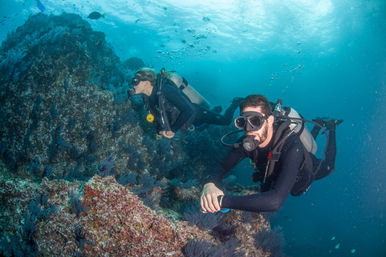 Two-Tank Dive at Cabo's Famous Arch for Certified Divers image 6