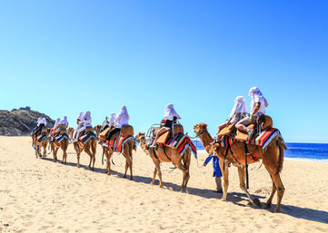 Sunny camel caravan on a sandy beach, riders in white head coverings atop camels with colorful striped saddle blankets, walking along the shoreline with blue ocean and rocky dunes in the background.