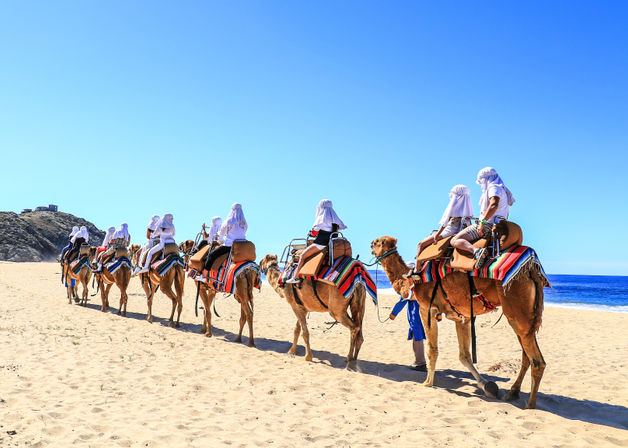Sunny camel caravan on a sandy beach, riders in white head coverings atop camels with colorful striped saddle blankets, walking along the shoreline with blue ocean and rocky dunes in the background.