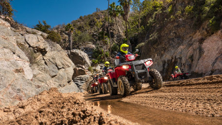 Line of red ATVs on a muddy off-road canyon trail, riders in neon helmets navigating rocky cliffs and palm trees under a clear blue sky.