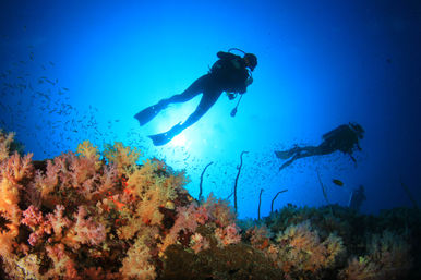 Sunlit blue ocean with scuba divers silhouetted above a colorful tropical coral reef teeming with small fish.