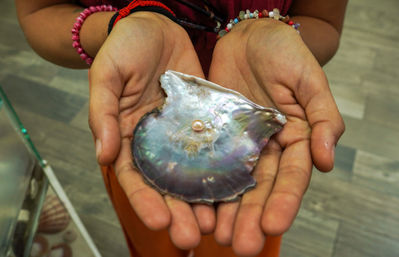 Cupped hands holding an iridescent mother-of-pearl shell with a small round pearl, colorful beaded bracelets visible — jewelry souvenir close-up
