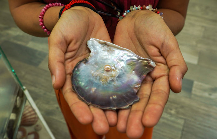 Cupped hands holding an iridescent mother-of-pearl shell with a small round pearl, colorful beaded bracelets visible — jewelry souvenir close-up