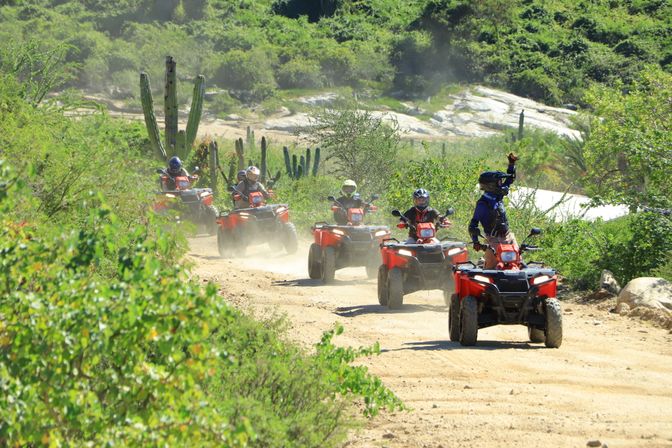 Group of helmeted riders on red ATVs kicking up dust along a sunlit desert trail lined with cacti and green scrub