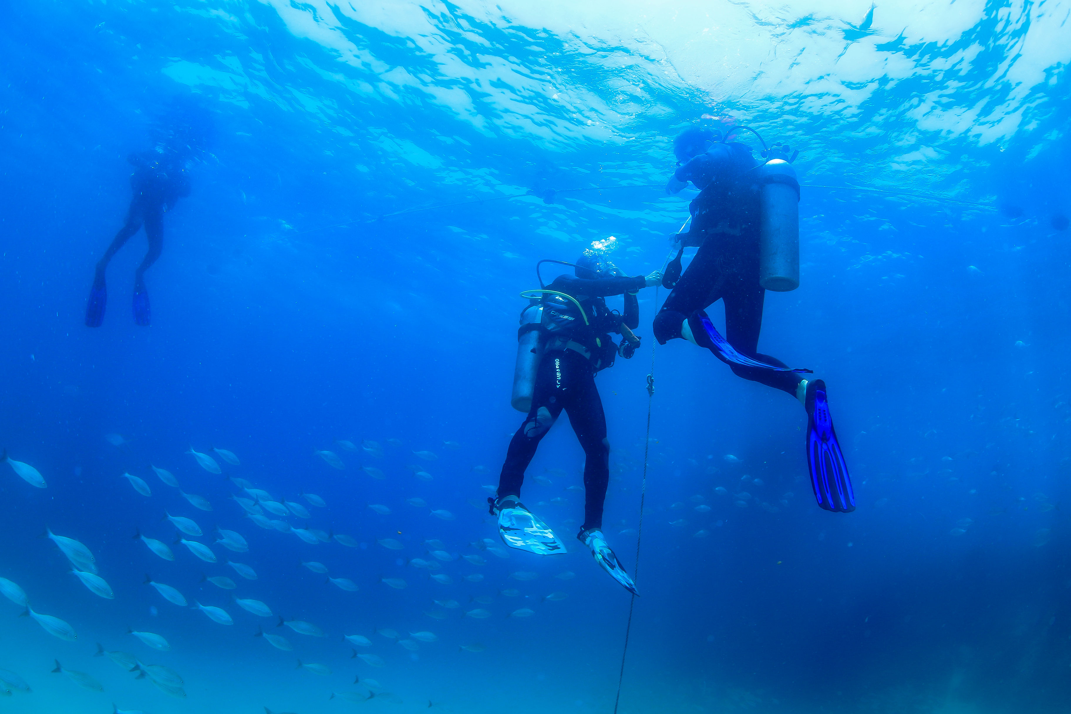 Two-Tank Dive at Cabo's Famous Arch for Certified Divers image 4