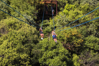 Two riders in harnesses ziplining side-by-side above a lush green rainforest canopy from a wooden platform, blue cables stretching across a tropical outdoor adventure scene.