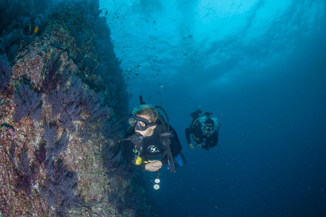 Two-Tank Dive at Cabo's Famous Arch for Certified Divers image 8