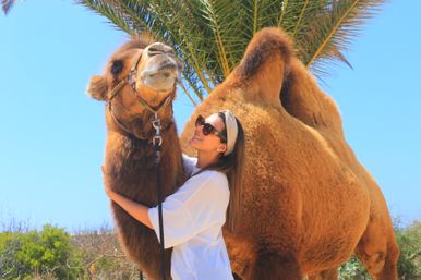 Smiling tourist hugging a double-humped camel beside a palm tree under a bright blue sky — sunny desert oasis vacation photo.