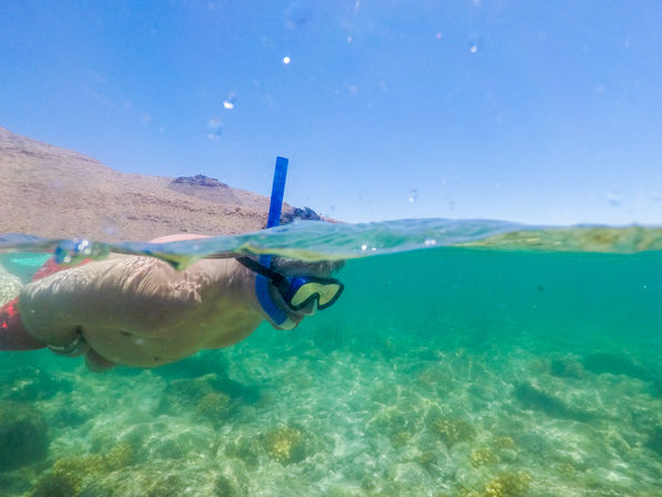 Snorkeler with blue mask and snorkel gliding over a rocky reef in clear turquoise water near an arid coastal shoreline under a bright blue sky