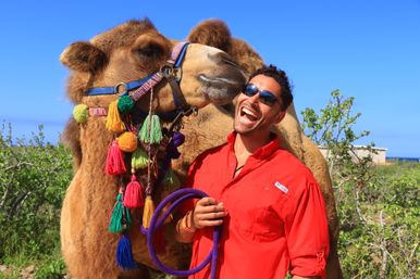 Smiling man in a red shirt and sunglasses poses with a decorated camel wearing colorful tassels and braided reins against a bright blue sky and coastal shrubland