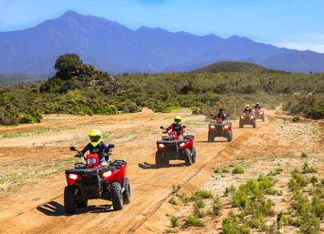 Five riders in neon helmets on red ATVs ride single-file along a dusty off-road trail through arid scrubland with low green bushes and a blue mountain backdrop under clear skies.