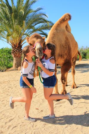 Two girls in matching white tops and denim shorts kiss a friendly single‑humped camel wearing colorful reins on a sunny sandy beach with a palm tree backdrop