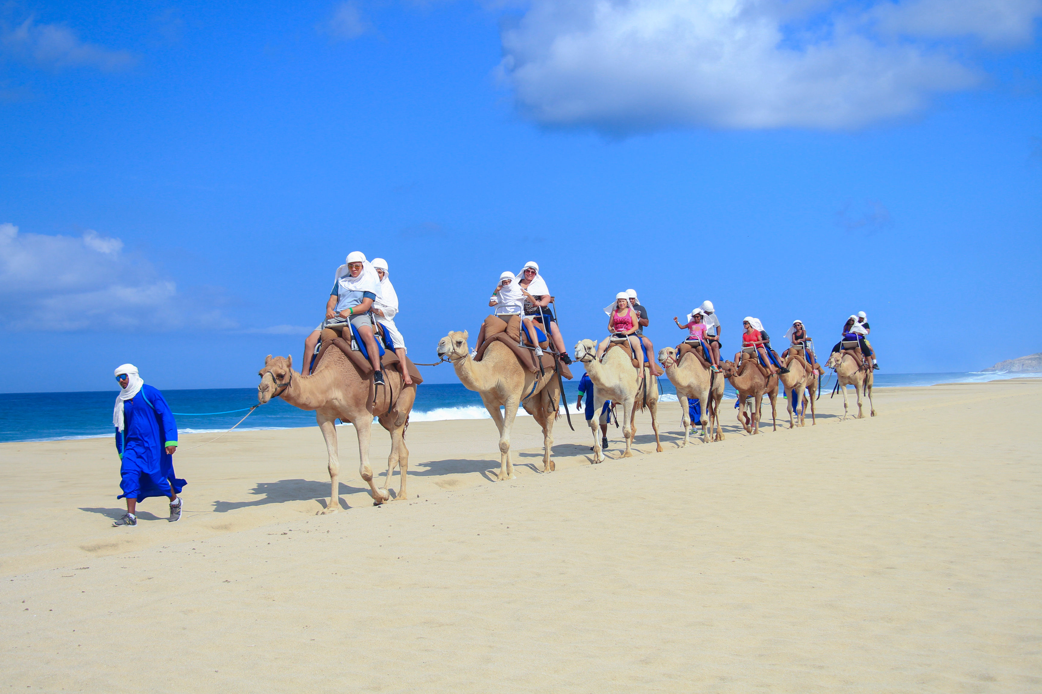 Camel caravan of tourists led by a guide in a blue robe walking along a sunlit sandy beach beside a turquoise ocean under a bright blue sky