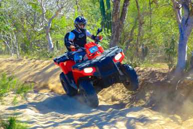 Helmeted rider on a red ATV kicking up dust on a sandy off-road trail through sunlit dry woodland