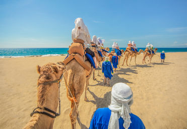 Sunny coastal camel caravan: tourists on saddled camels led by blue-robed guides walking along a wide sandy beach with turquoise ocean and clear sky.