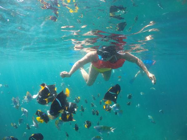 Snorkeler gliding in clear turquoise tropical water above a coral reef, surrounded by a school of colorful reef fish.