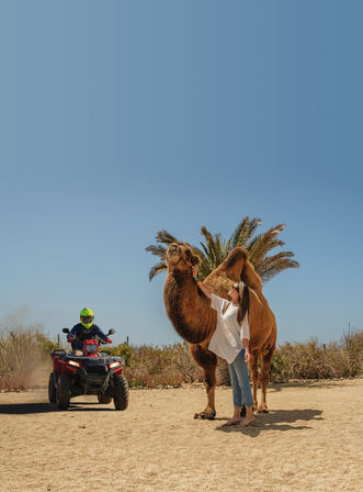 Woman in white top and jeans pets a large camel by a palm tree while an ATV rider in a neon helmet approaches on a sandy desert trail — outdoor adventure scene