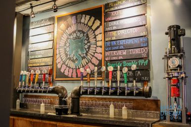 Vibrant craft beer taproom with a row of colorful tap handles on industrial piping, glassware below and a chalkboard elephant mural and beer menu listing IPAs and lagers.