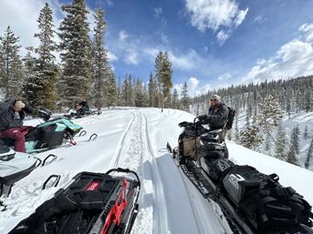 Backcountry mountain snowmobiling in fresh powder — riders paused on sleds with tracks leading over a sunlit snow-covered ridge, tall pine trees and a bright blue winter sky.