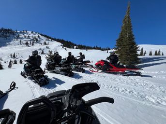 Group of snowmobilers in helmets paused and ready to ride on a powdery alpine slope under a clear blue sky, colorful snowmobiles lined up near pine trees with snow‑covered mountain ridges in the background.