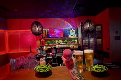 Tokyo Meets Tennessee: Private Karaoke at Otaku Ramen with Cold Sapporos, Sake & Golden Gai Vibes image 4
