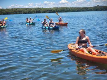 4 Hour Private Sandbar Kayak Chater at Shell Key Preserve image 3