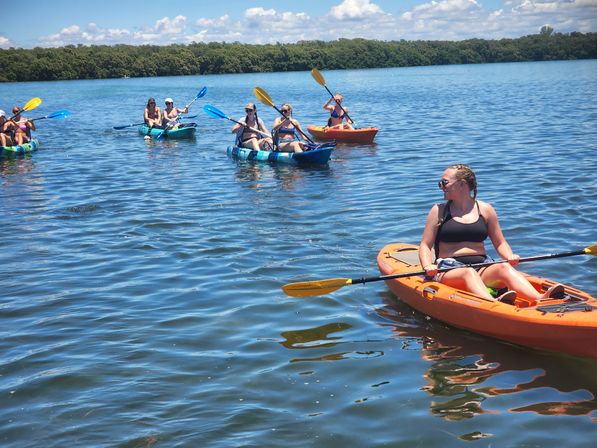 4 Hour Private Sandbar Kayak Chater at Shell Key Preserve image 4