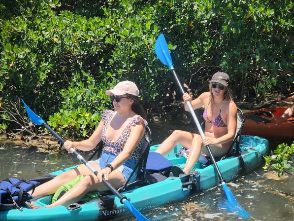 4 Hour Private Sandbar Kayak Chater at Shell Key Preserve image 5