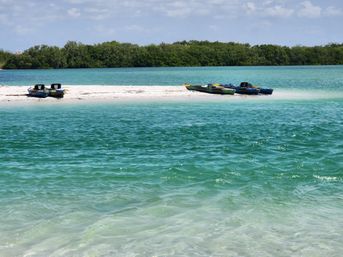 4 Hour Private Sandbar Kayak Chater at Shell Key Preserve image 7