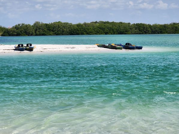 4 Hour Private Sandbar Kayak Chater at Shell Key Preserve image 8