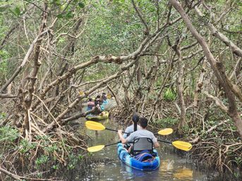 4 Hour Private Sandbar Kayak Chater at Shell Key Preserve image 2