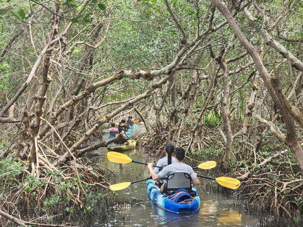 4 Hour Private Sandbar Kayak Chater at Shell Key Preserve image 3