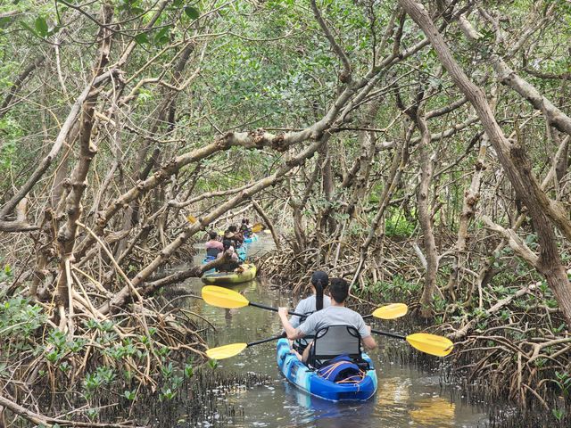 4 Hour Private Sandbar Kayak Chater at Shell Key Preserve image 3