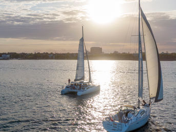 Golden sunlight glints on the water as sailboats and a catamaran glide across a calm harbor with a low coastal skyline at sunset.