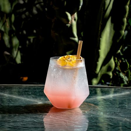 Sparkling pink citrus spritz in a faceted glass with a dried orange wheel and paper straw on a glass patio table against a cactus backdrop