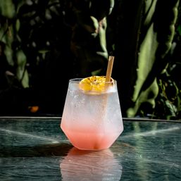 Sparkling pink citrus spritz in a faceted glass with a dried orange wheel and paper straw on a glass patio table against a cactus backdrop