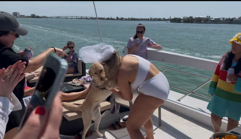 Bride-to-be in a white swimsuit and veil hugging a yellow lab on a sunny party boat while friends clap and take photos, coastal bridge and waterfront in the background