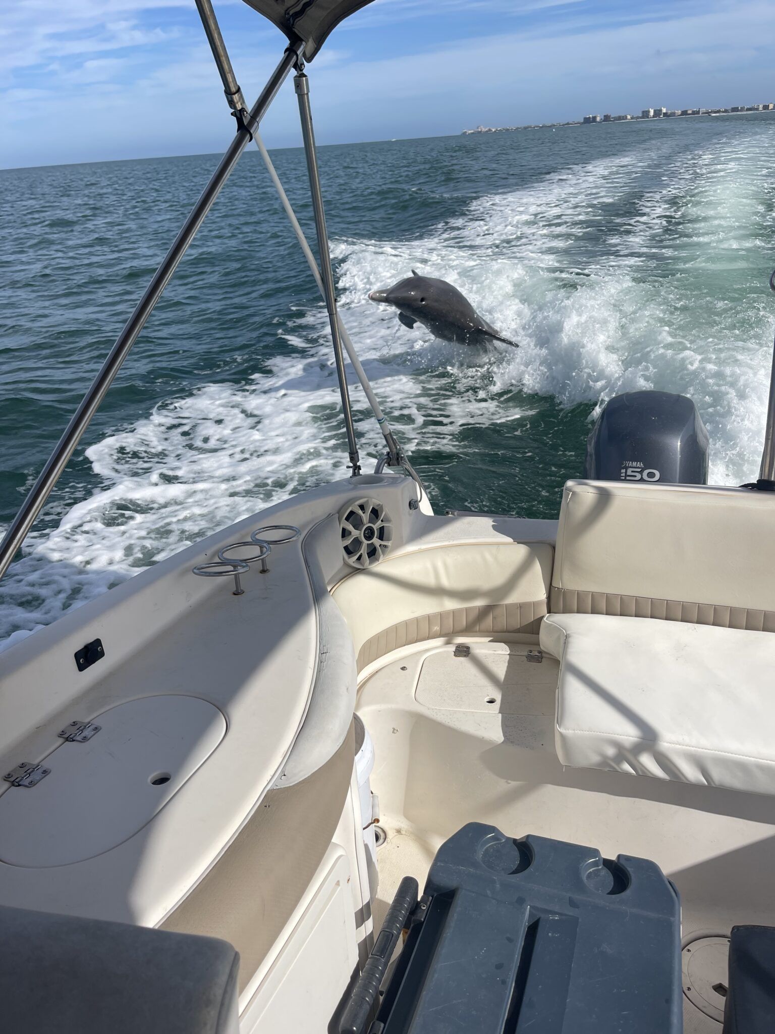 Playful dolphin leaping through the wake beside a small motorboat on a sunny day in coastal ocean waters with a distant shoreline