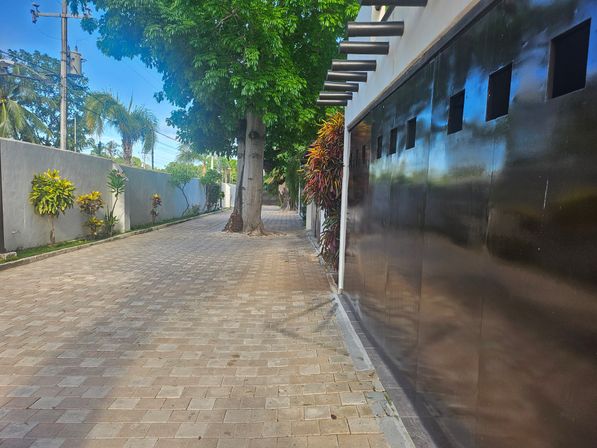 Paved residential driveway lined with tropical palms and shrubs, large shade tree and modern black reflective gate beside a white boundary wall on a sunny day