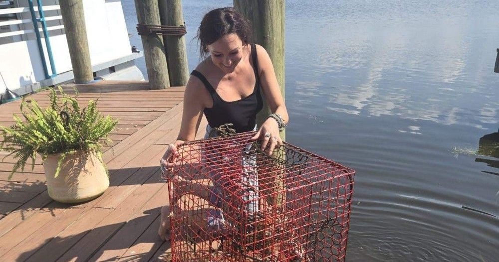 Smiling woman kneeling on a wooden dock at a calm waterfront, inspecting a red wire crab trap with crabs inside; potted fern and dock pilings visible