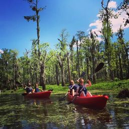 Two red kayaks carrying paddlers gliding through a sunlit cypress swamp draped in Spanish moss under a bright blue sky