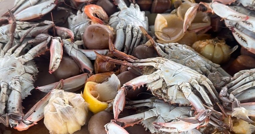 Pile of steamed blue crabs with lemon wedges, garlic cloves and small potatoes in a coastal-style seafood boil.