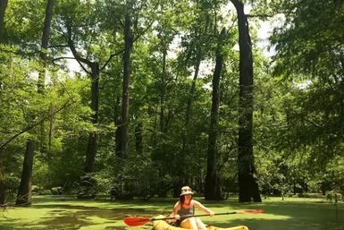 Person kayaking in an orange kayak through a sunlit cypress swamp with bright green algae covering the water and tall trees all around