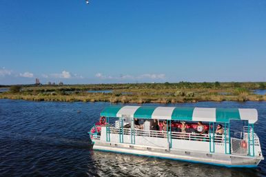 Green-and-white covered passenger pontoon boat cruising through marshy wetlands under a clear blue sky, passengers on deck enjoying a scenic coastal wildlife tour.